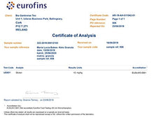 Load image into Gallery viewer, Macadamia & Coconut Keto Granola - Low Carb - No Gluten - No Added Sugar, Salt or Palm Oil - High Fibre - Healthy & Natural Breakfast Cereal - LCHF - 3 x 312g - by Maria Lucia Bakes