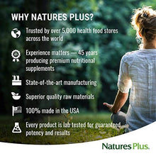 Load image into Gallery viewer, Nature's Plus Keto High Protein Chocolate Almond Crunch Bar (12 Pack) - Whole Food Low Carb Protein Bar, Perfect for Keto and Low Glycemic Lifestyles - Gluten Free