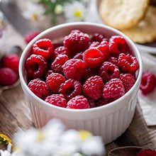 Load image into Gallery viewer, FattBar Keto Bar (Raspberry & Almond, 5-Pack) | Natural and Delicious Keto Snacks Packed with Super Fats |No Gluten Ingredients, Low Carb, High Fibre, Low Sugar, Keto, Sweetener Free, Vegan, Non GMO - Carb Free Zone