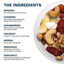 Load image into Gallery viewer, Power Up Trail Mix, High Energy Trail Mix, Keto-Friendly, Paleo-Friendly, Non-GMO, Vegan, GlutenFree, No Artificial Ingredients, Gourmet Nut, 14 oz Bag