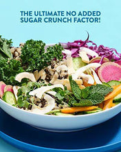 Load image into Gallery viewer, Dang Keto Toasted Coconut Chips | Lightly Salted Unsweetened | 1 Pack | Keto Certified, Vegan, Gluten Free, Paleo Friendly, Non GMO, Healthy Snacks Made with Whole Foods | 3.17 Oz Resealable Bags - Carb Free Zone